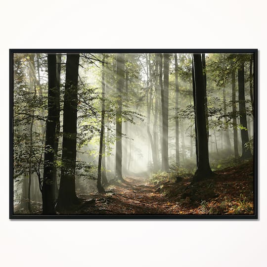 Designart - Light in Dense Fall Forest with Fog